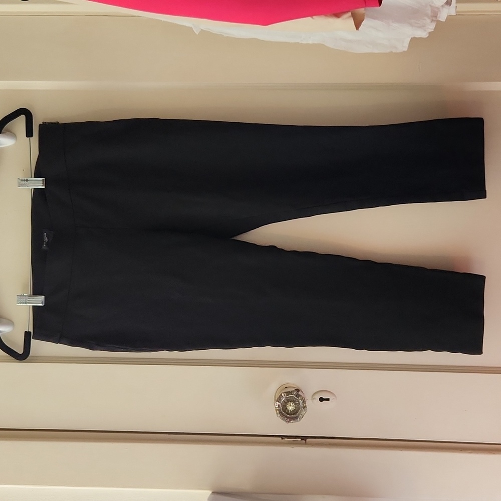 Ann Taylor Petite Dress Pants
